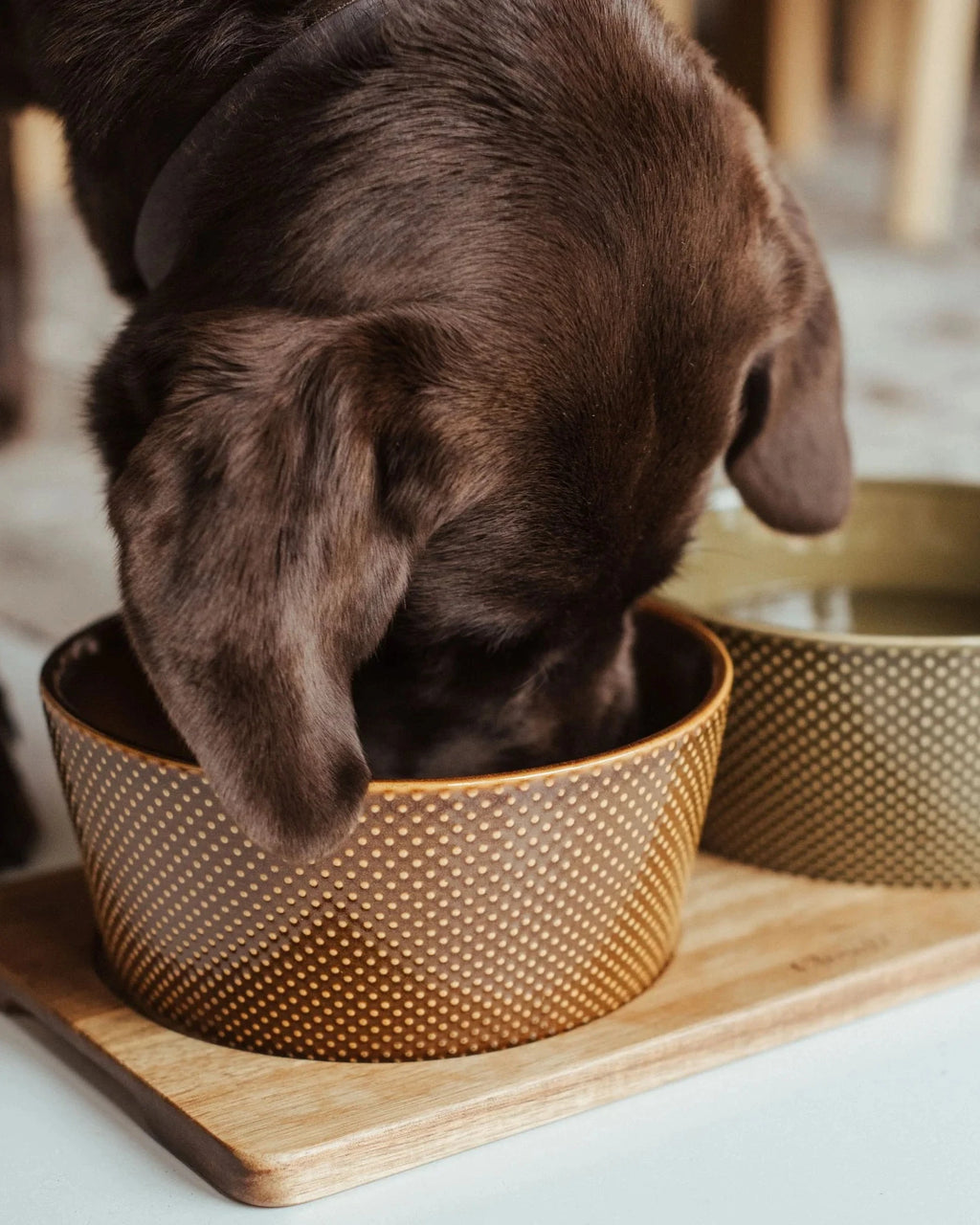 CLOUD7 Dog Bowl Cinnamon