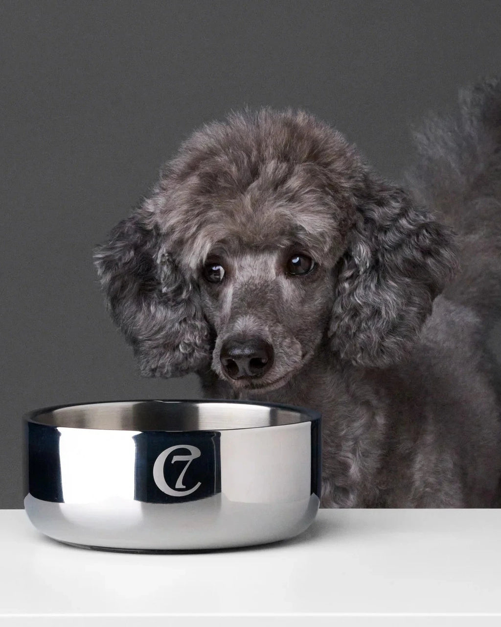 CLOUD7 Dog Bowl Dylan Stainless Steel