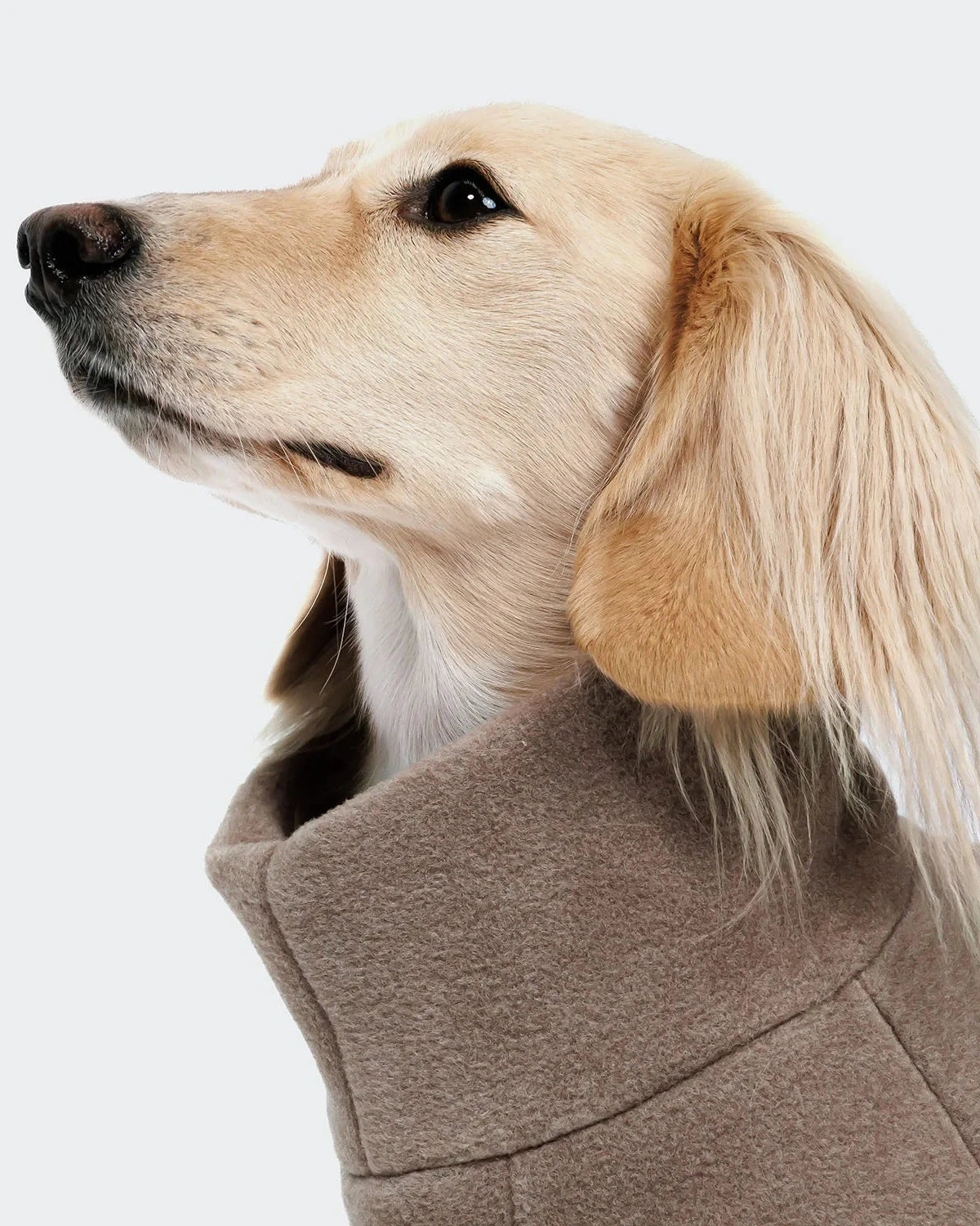 CLOUD7 Dog Sweater Cornwall DACHSHUND Fleece Toffee