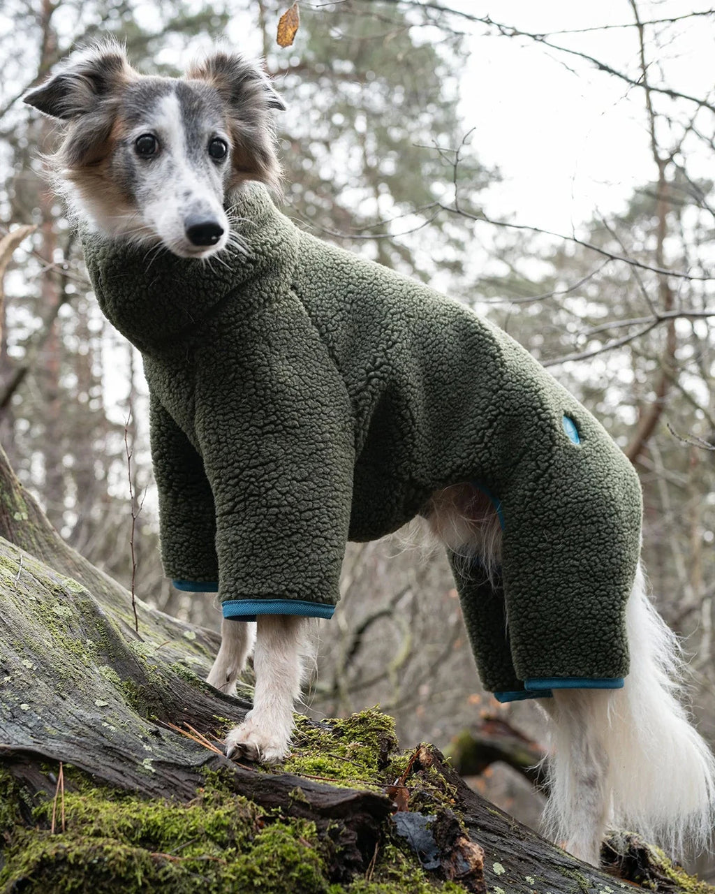 CLOUD7 Dog Sweater Cornwall GREYHOUND Teddy Olive