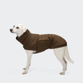 CLOUD7 Hundepullover Derby 2.0 Coffee