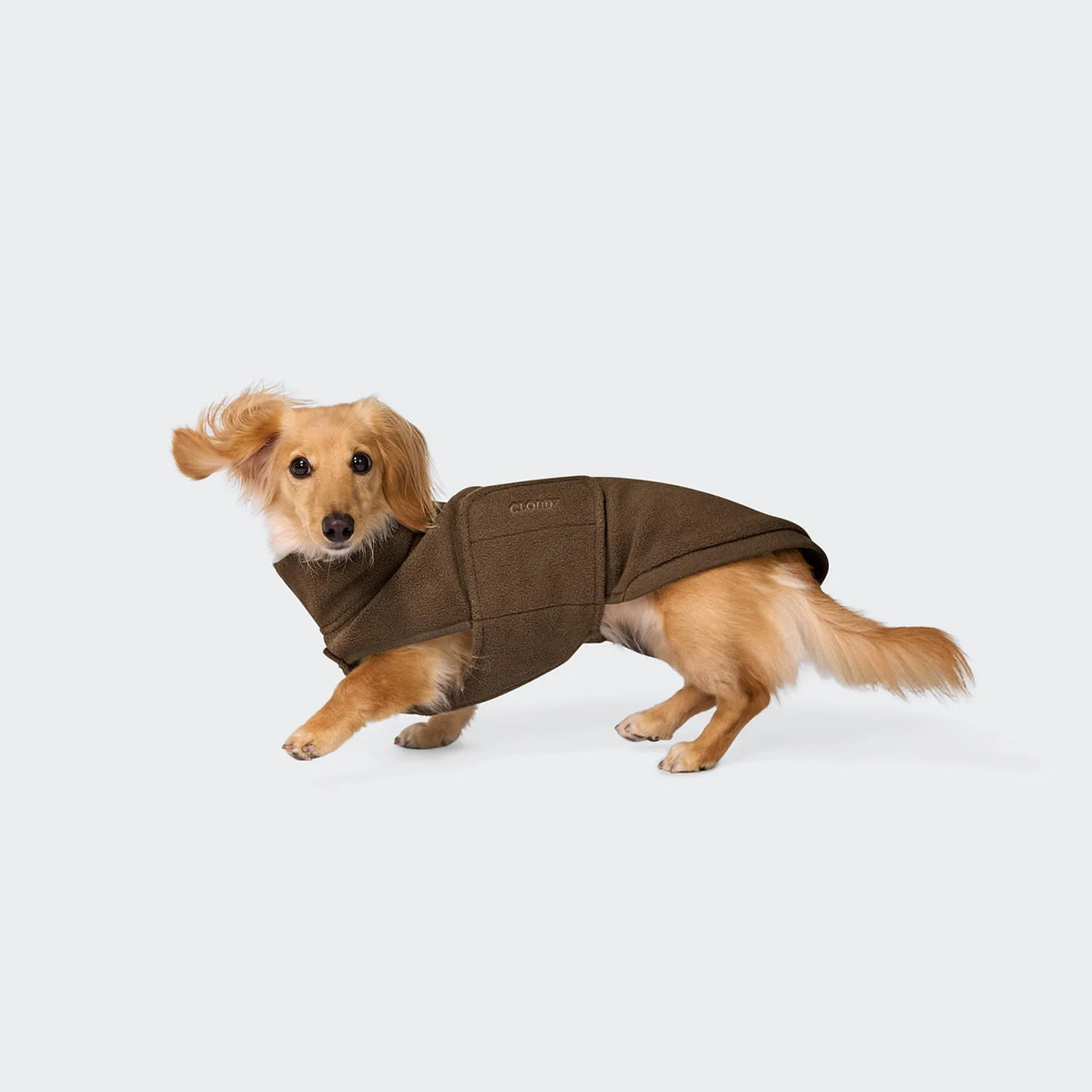 CLOUD7 Hundepullover Derby 2.0 DACKEL Coffee