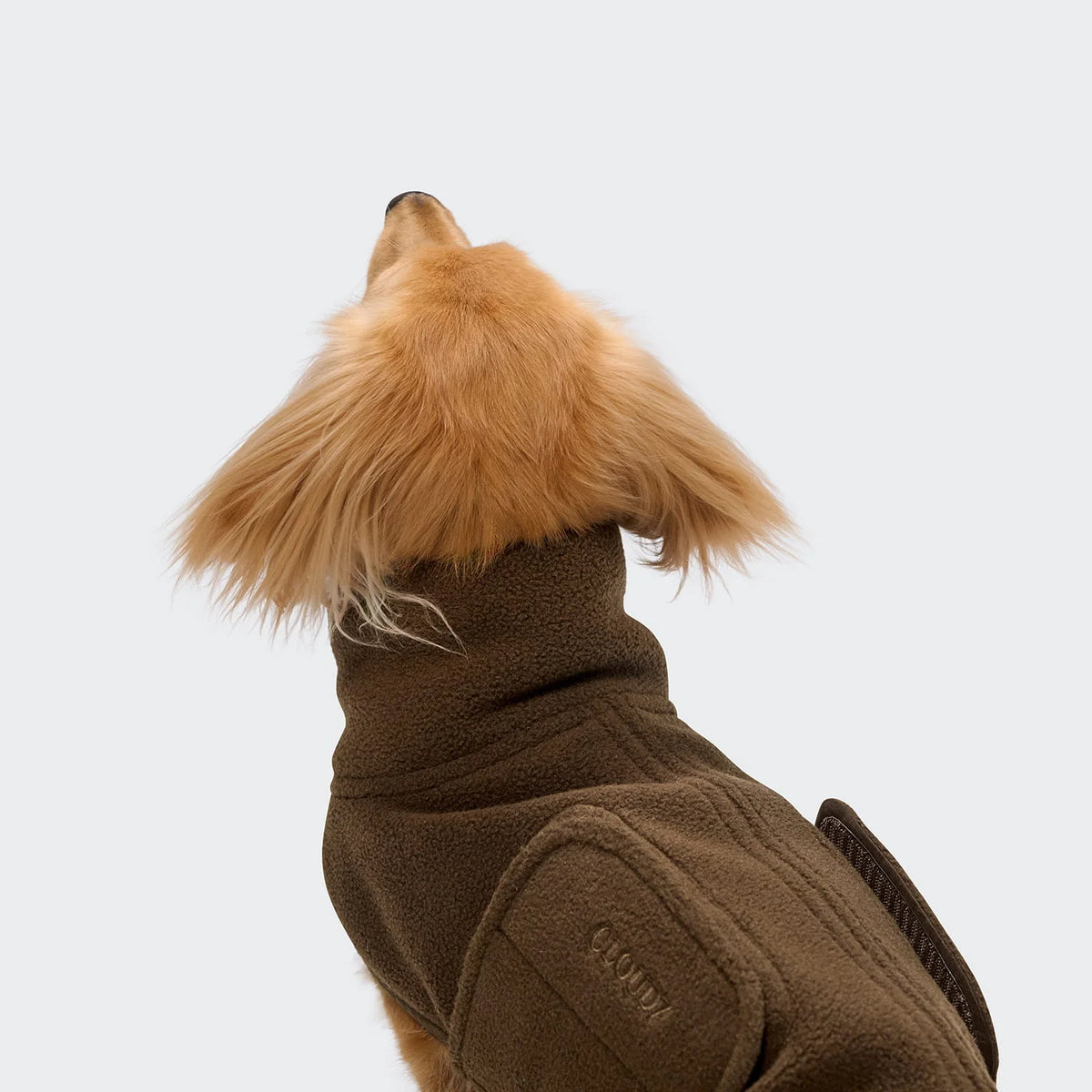 CLOUD7 Hundepullover Derby 2.0 DACKEL Coffee