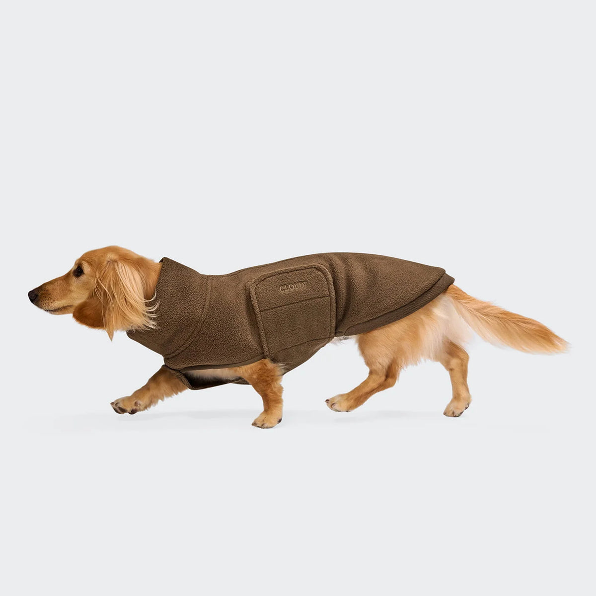 CLOUD7 Hundepullover Derby 2.0 DACKEL Coffee