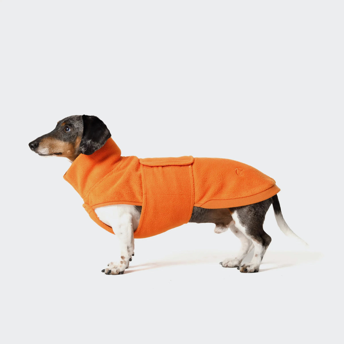 CLOUD7 Dog Sweater Derby DACHSHUND Fleece Orange