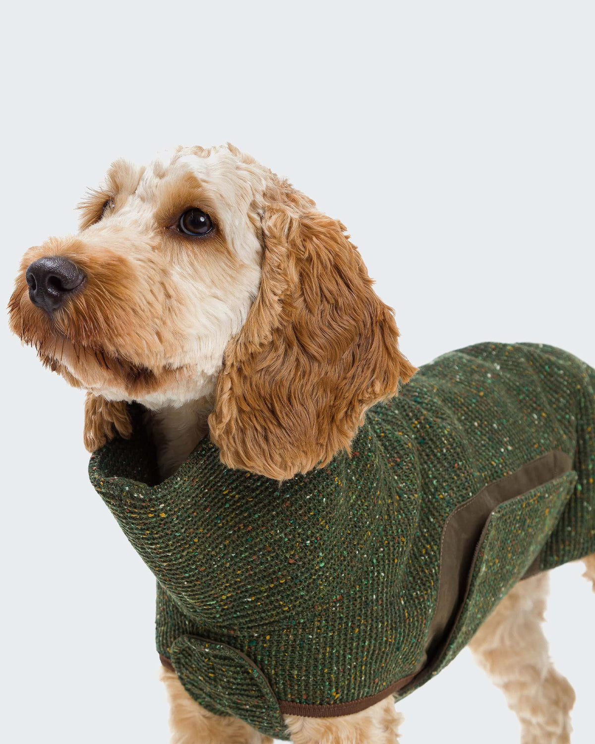 CLOUD7 Hundepullover Dorset Bottle Green