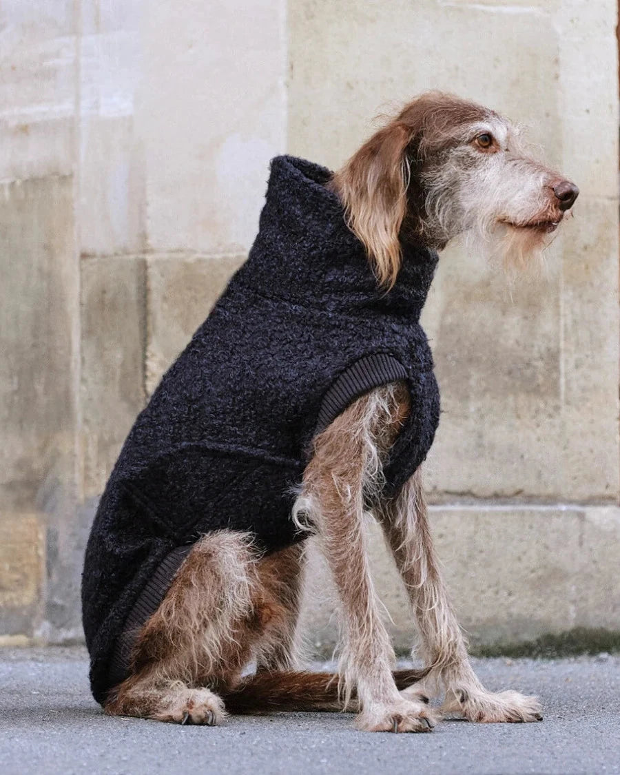 CLOUD7 Hundepullover Gotland Anthra