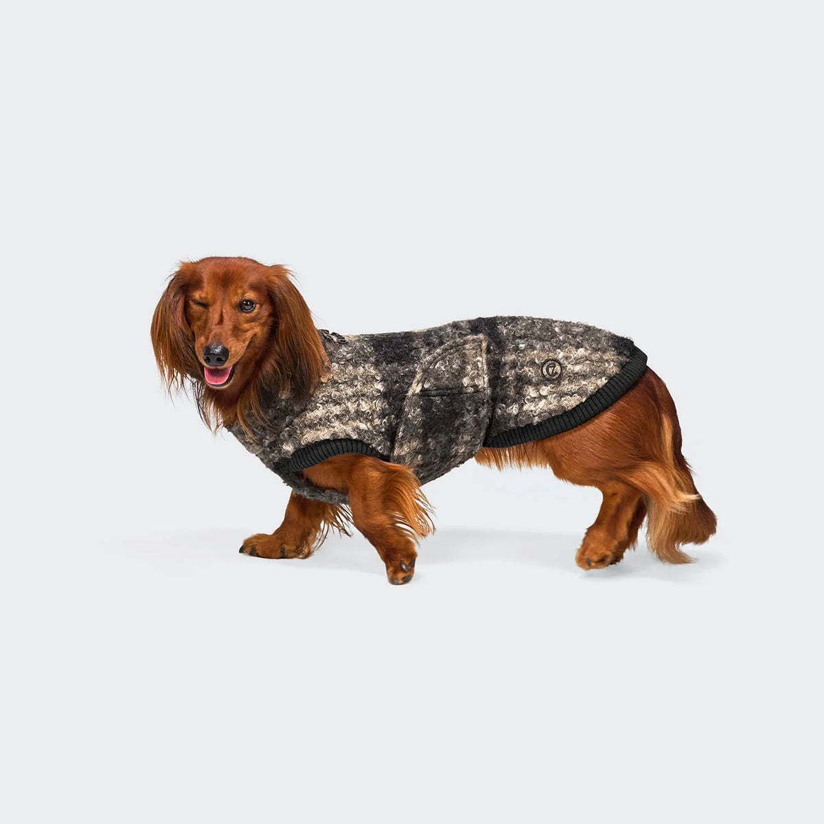 CLOUD7 Hundepullover Gotland DACKEL Tartan