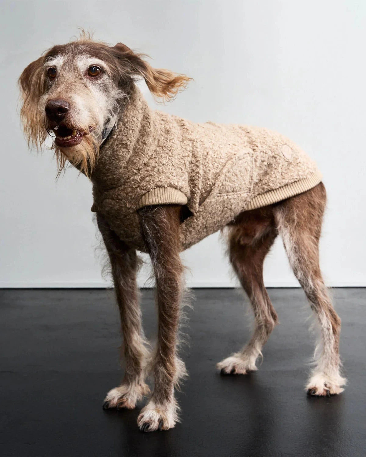 CLOUD7 Hundepullover Gotland Sandy Brown