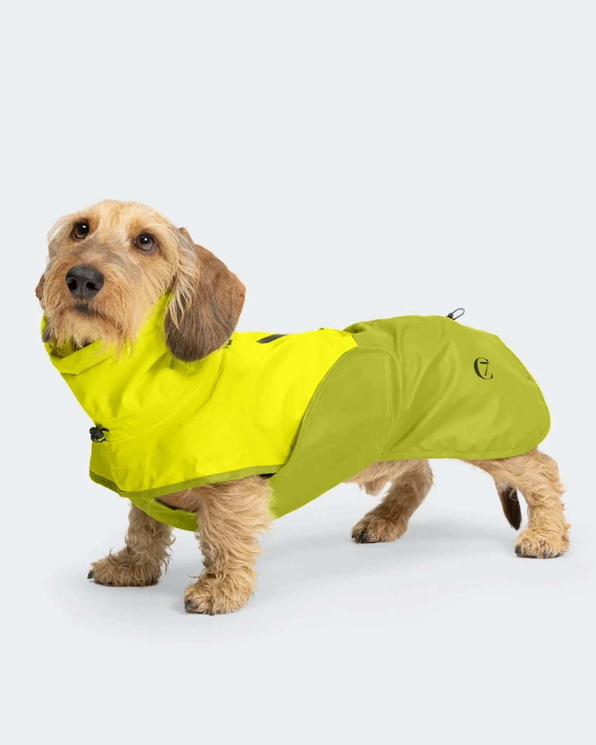 CLOUD7 Dog Raincoat AKTIV DACHSHUND Neon Green/Light Olive