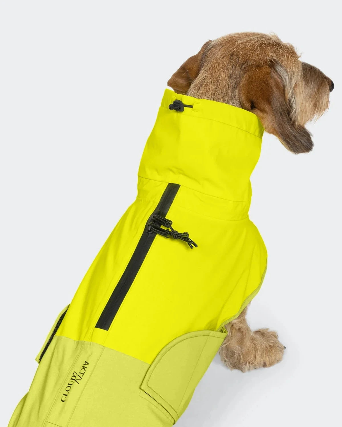 CLOUD7 Dog Raincoat AKTIV DACHSHUND Neon Green/Light Olive