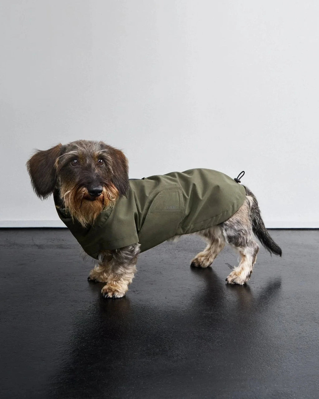 CLOUD7 Hunderegenmantel Dublin 2.0 DACKEL Dark Olive