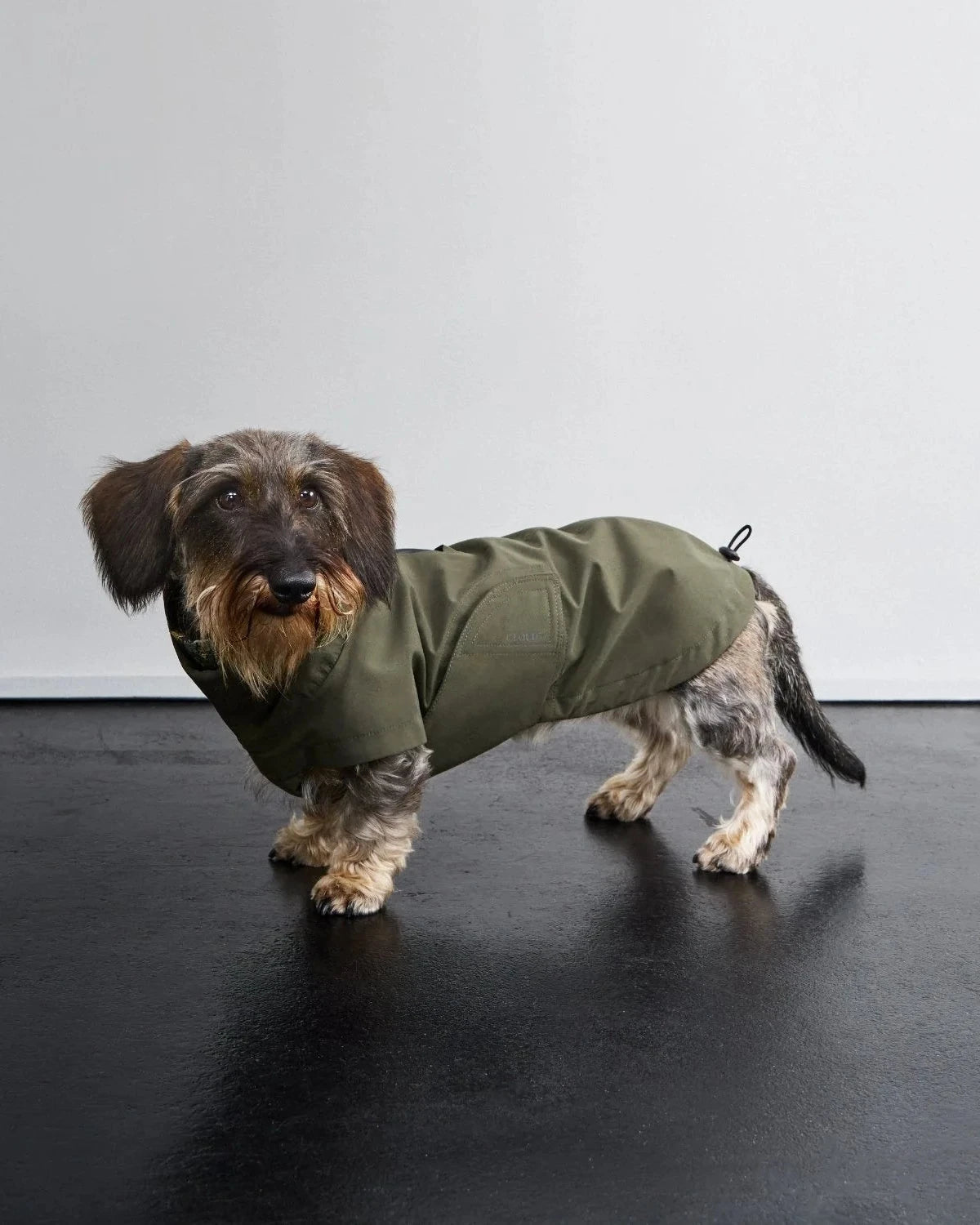 CLOUD7 Hunderegenmantel Dublin 2.0 DACKEL Dark Olive
