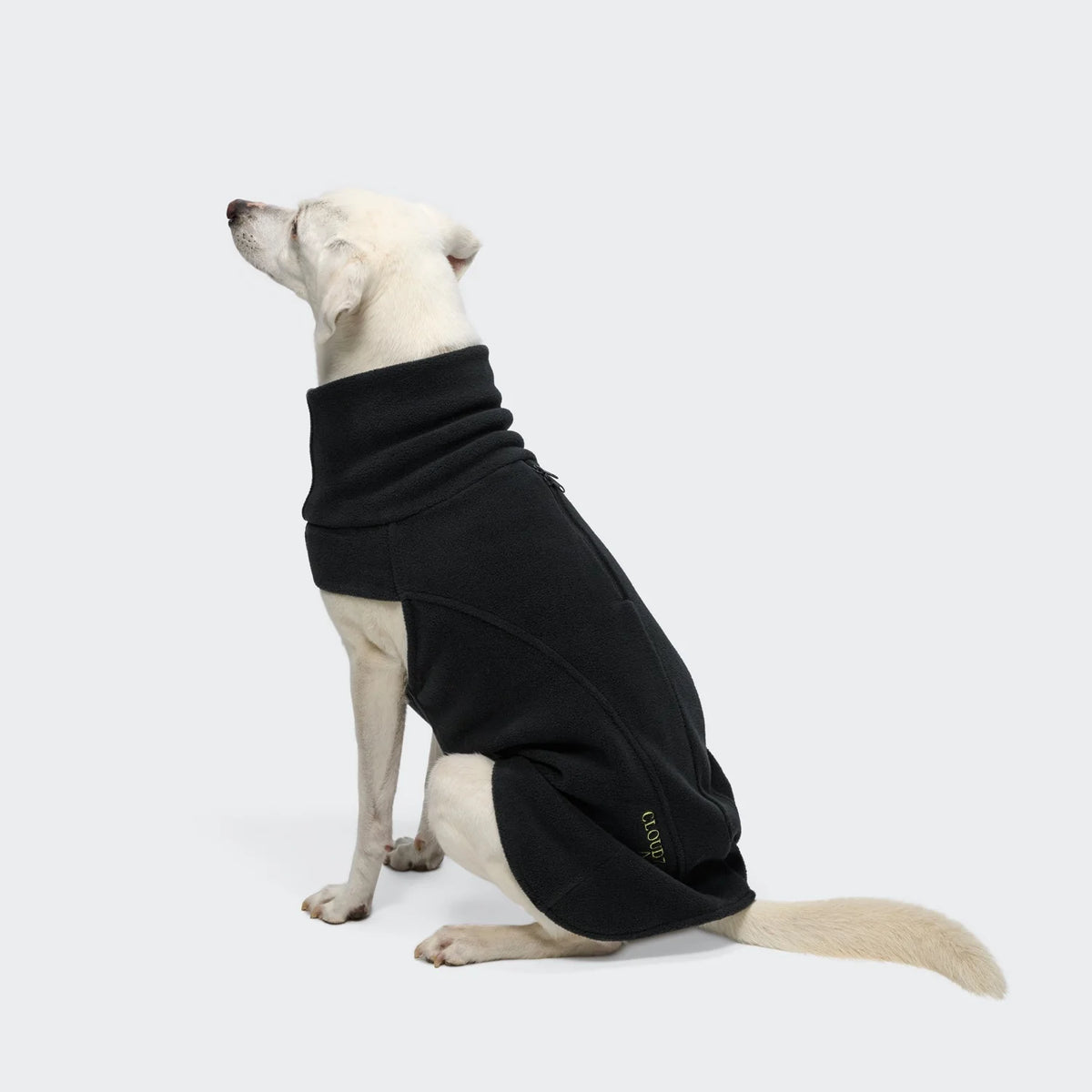 CLOUD7 Hundeshirt Body Warmer AKTIV Black