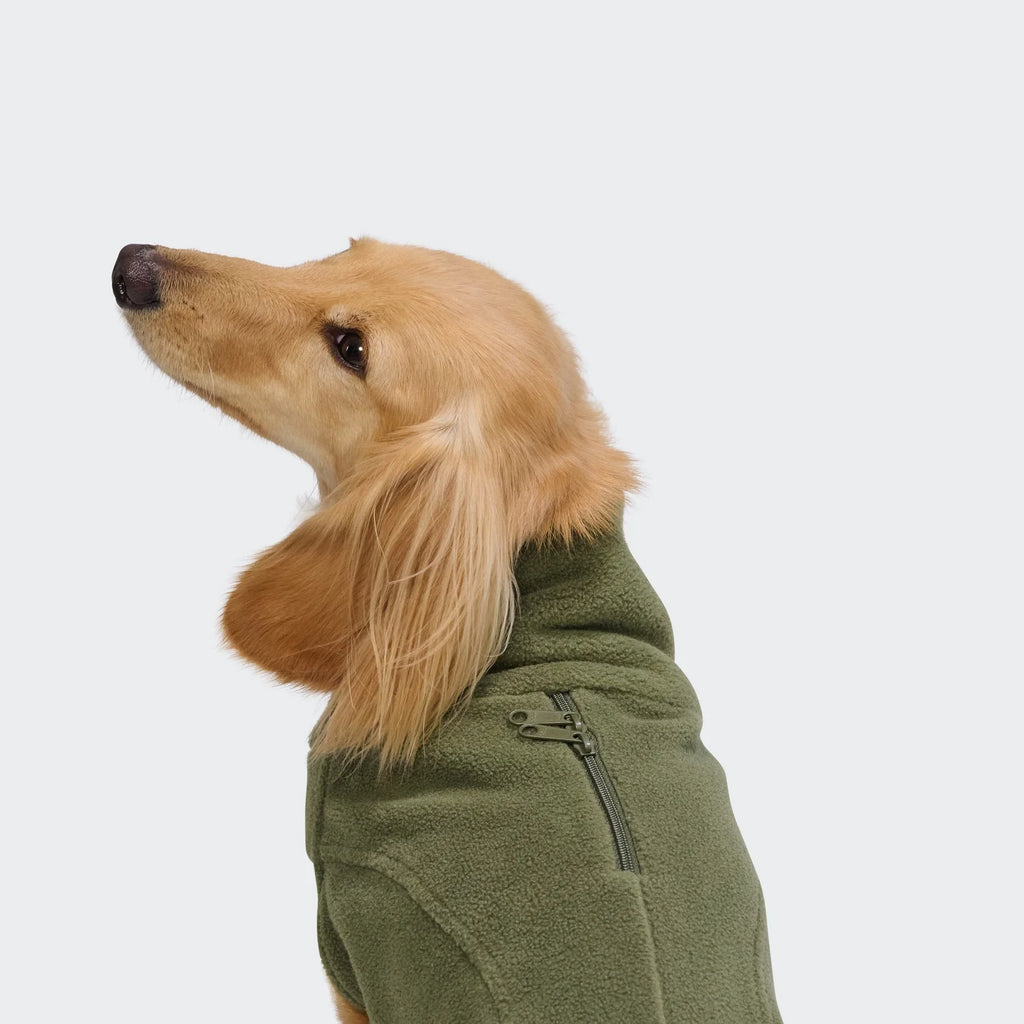 CLOUD7 Hundeshirt Body Warmer DACKEL AKTIV Khaki