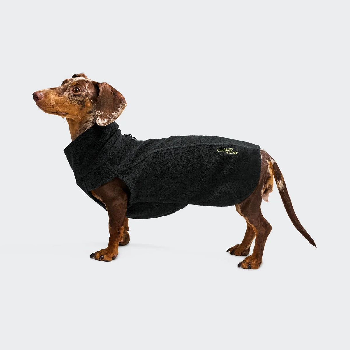 CLOUD7 Hundeshirt Body Warmer DACKEL AKTIV Black