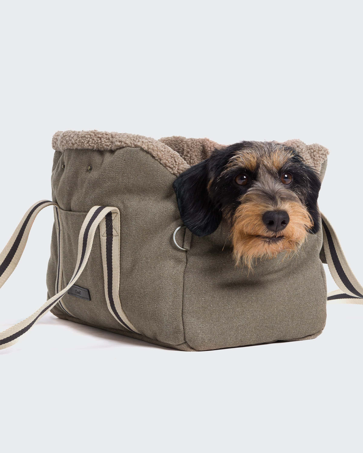 CLOUD7 Dog Carrier Lucca Canvas Sand