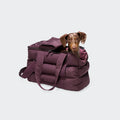 CLOUD7 Hundetasche Montreal 2.0 Aubergine