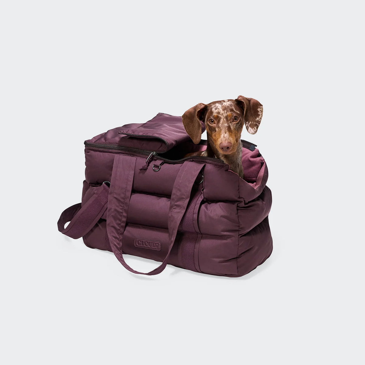 CLOUD7 Hundetasche Montreal 2.0 Aubergine