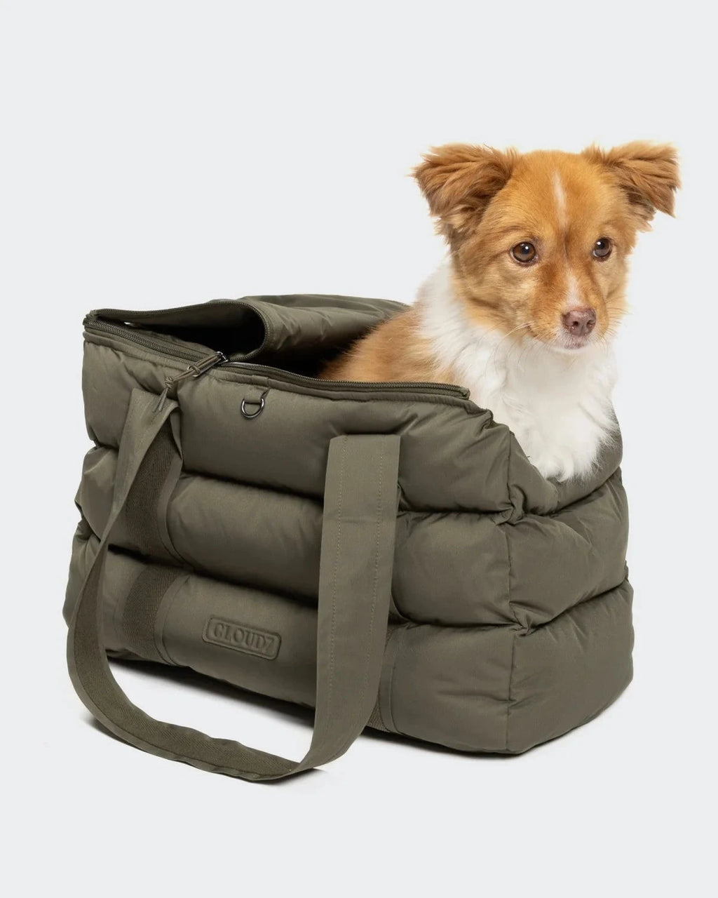 CLOUD7 Hundetasche Montreal Light Olive