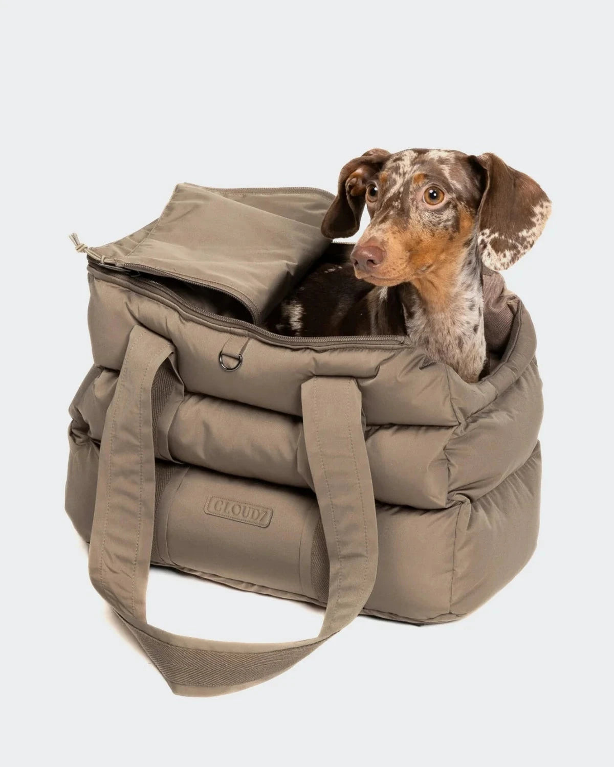 CLOUD7 Dog Carrier Montreal Sandy Brown