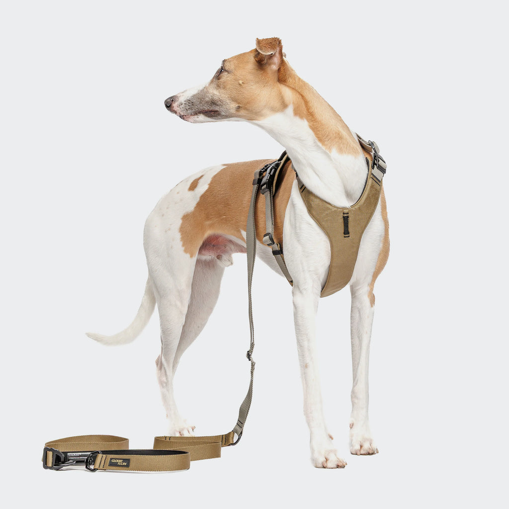 CLOUD7 L-1 Hands-Free Leash ACTIVE Khaki/Grey