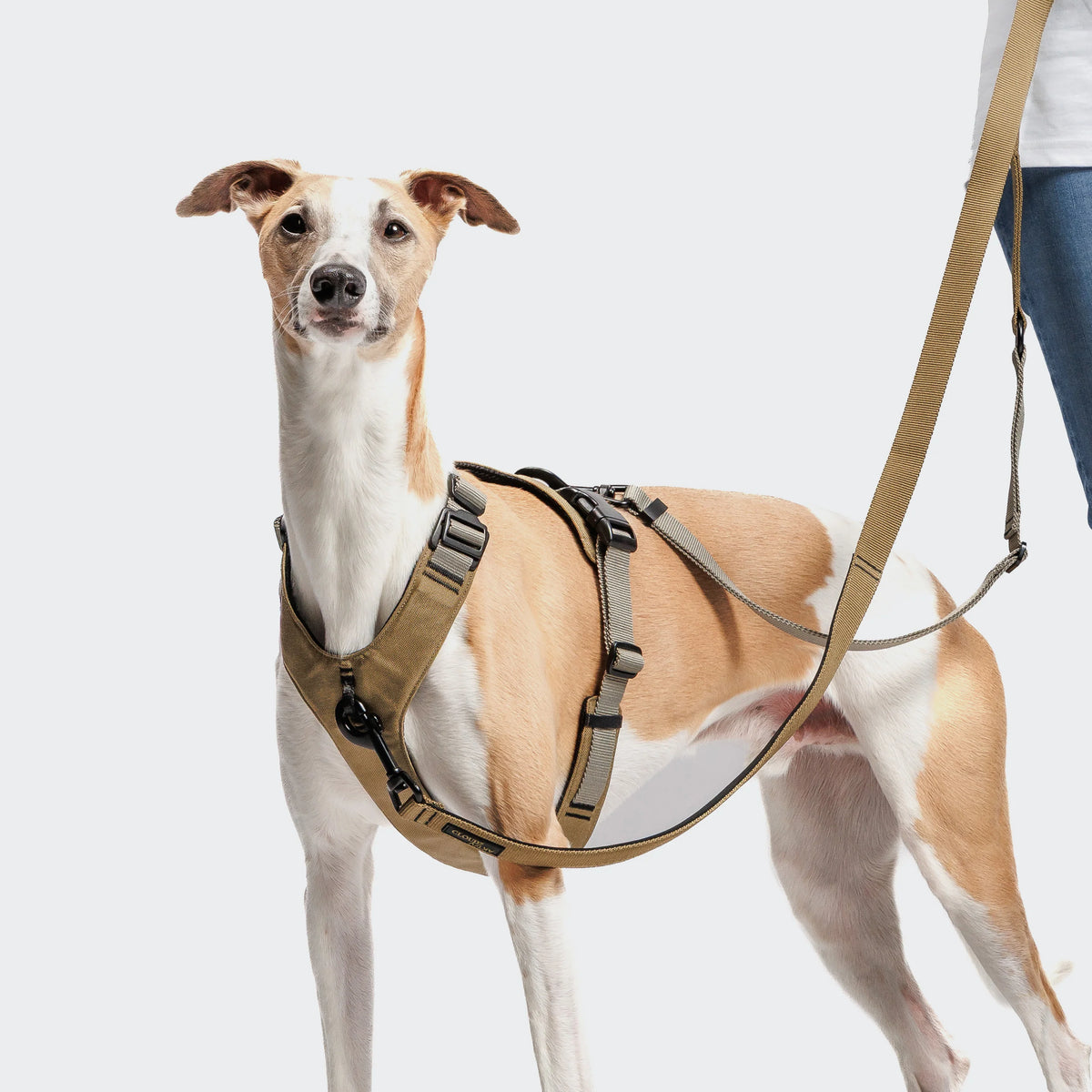 CLOUD7 L-1 Hands-Free Leash ACTIVE Khaki/Grey