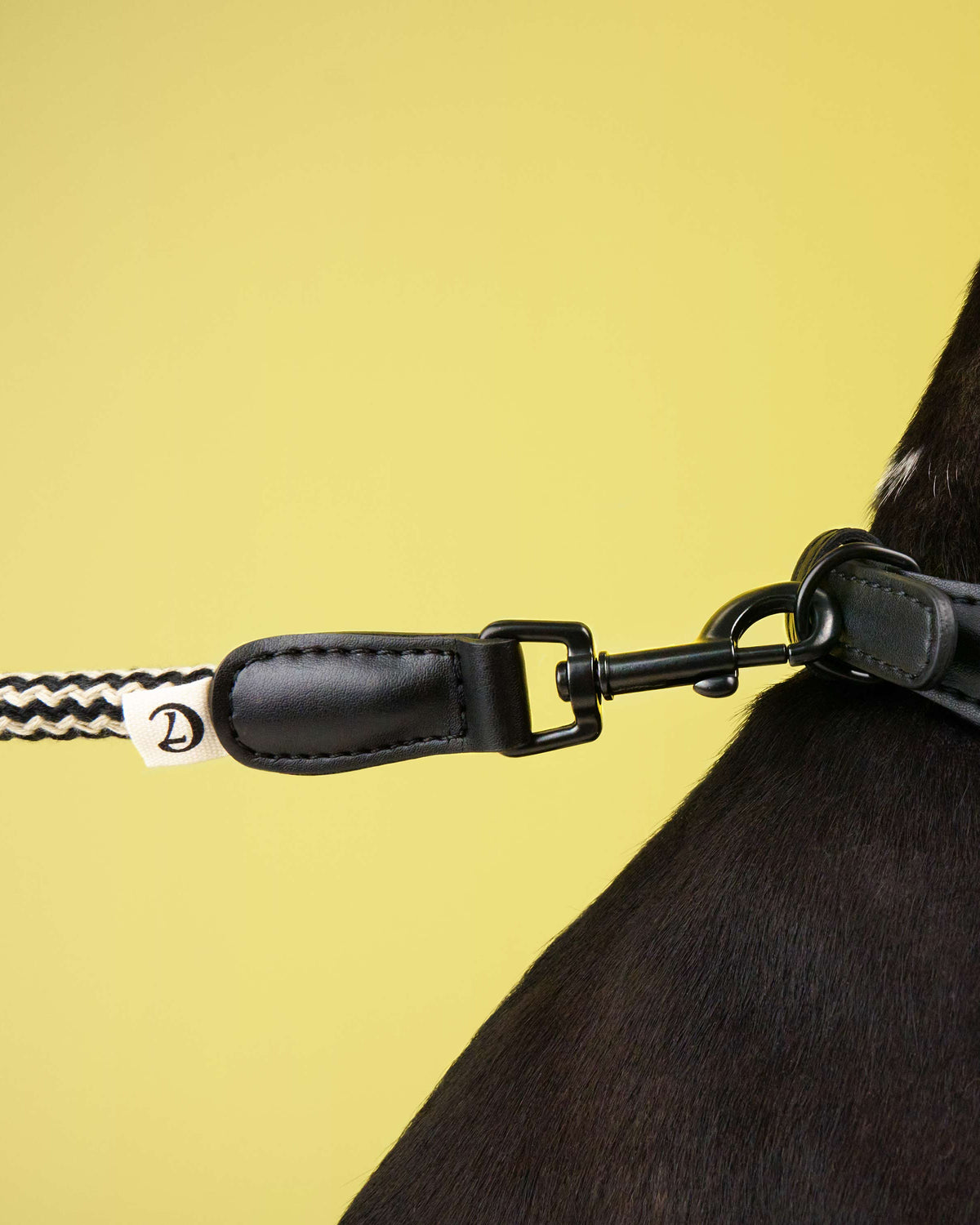 CLOUD7 Leash Mauerpark Zigzag Black