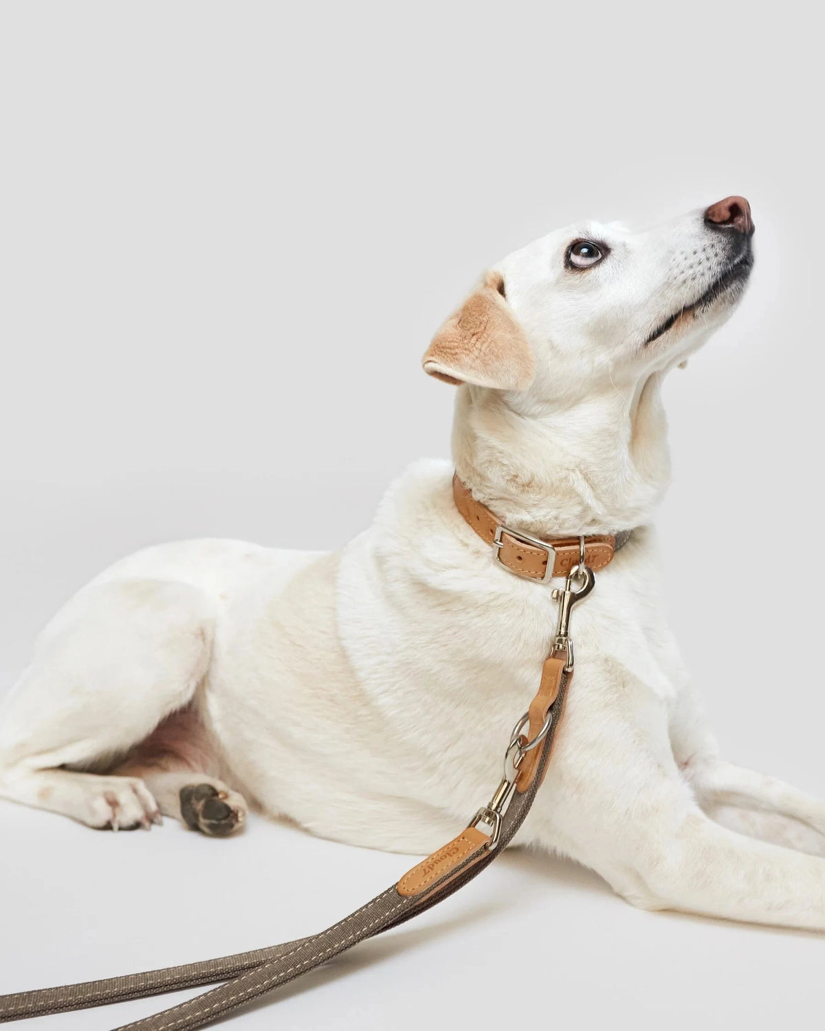 CLOUD7 Leash Tivoli Greige