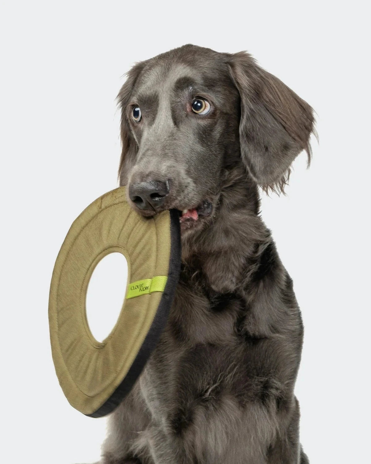 CLOUD7 Spielzeug Frisbee AKTIV Khaki