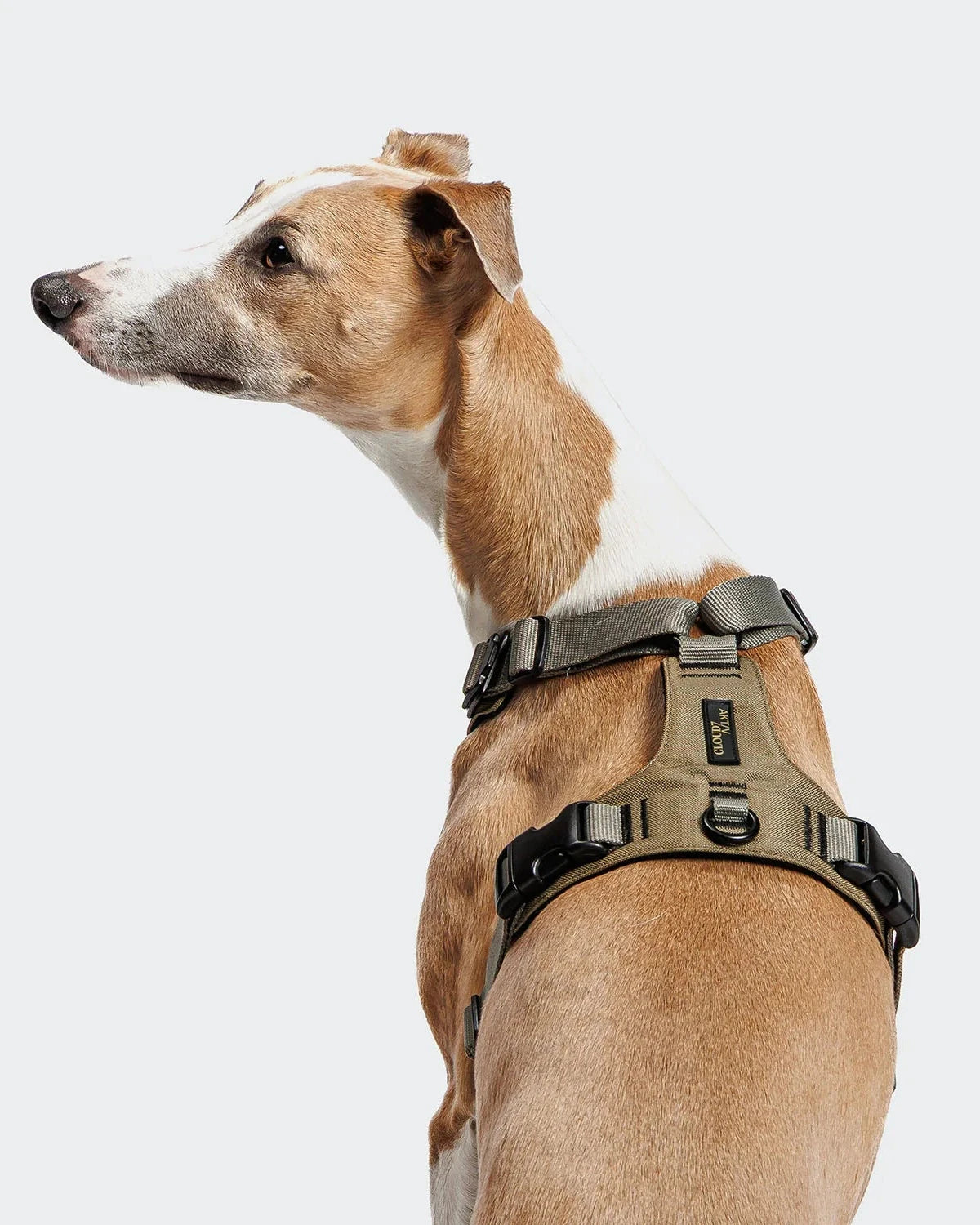 CLOUD7 Y-2 Harness ACTIVE Cordura Khaki