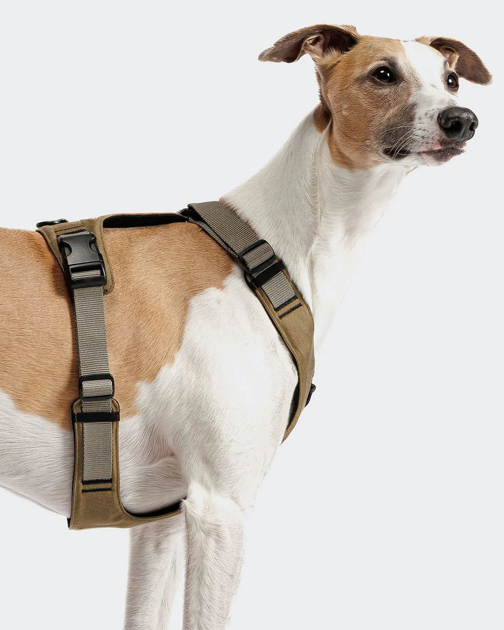 CLOUD7 Y-2 Harness ACTIVE Cordura Khaki