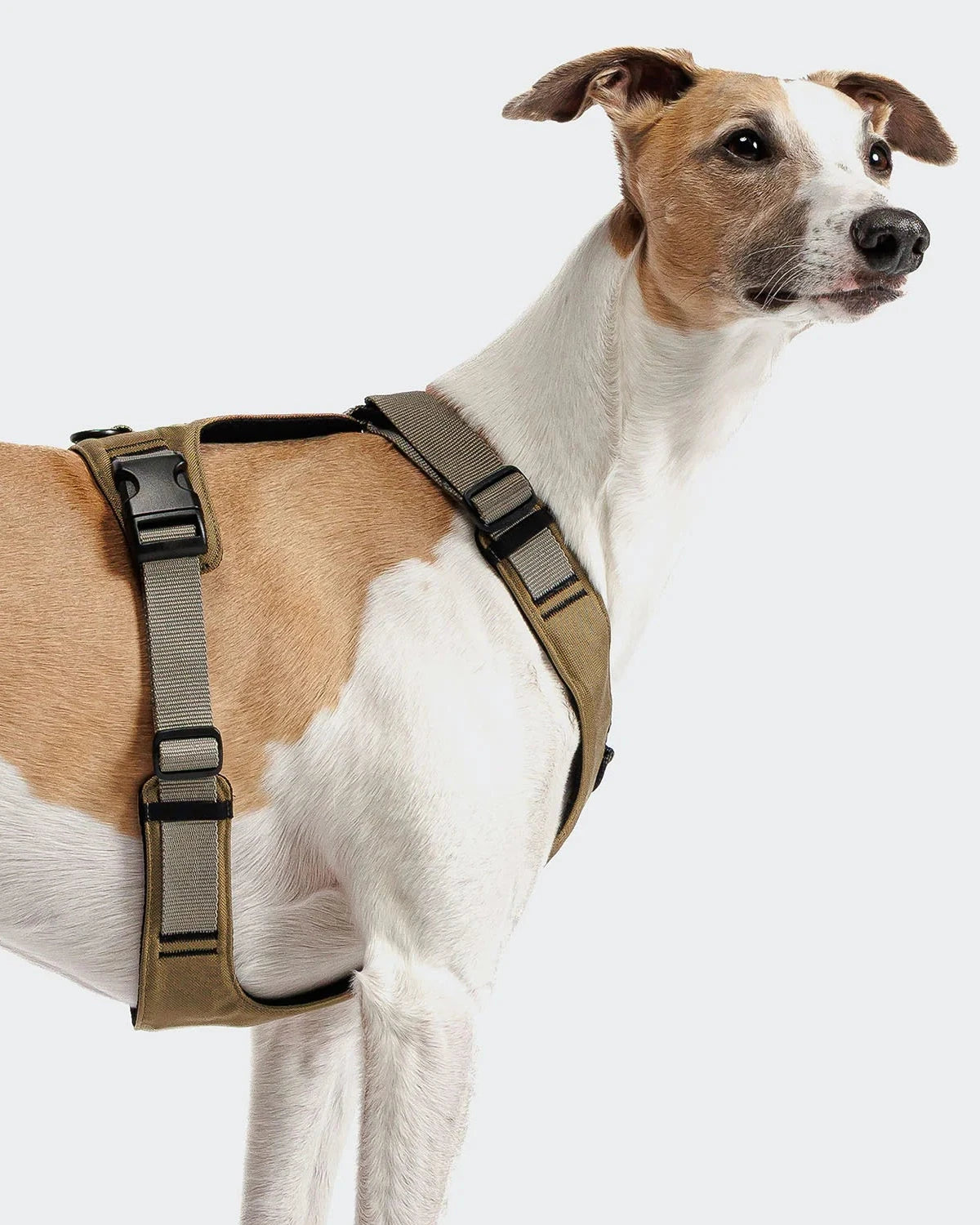 CLOUD7 Y-2 Harness ACTIVE Cordura Khaki
