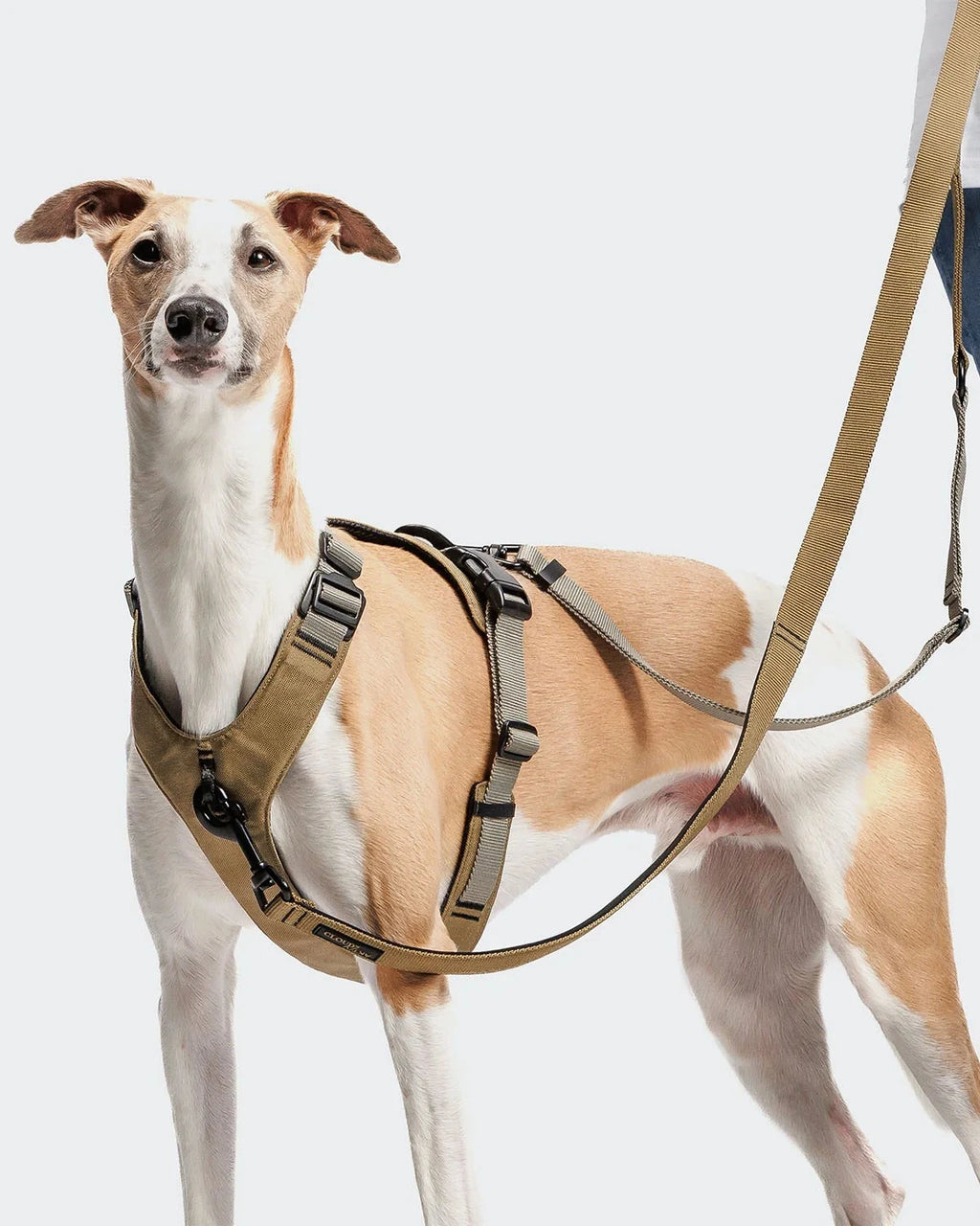 CLOUD7 Y-2 Harness ACTIVE Cordura Khaki