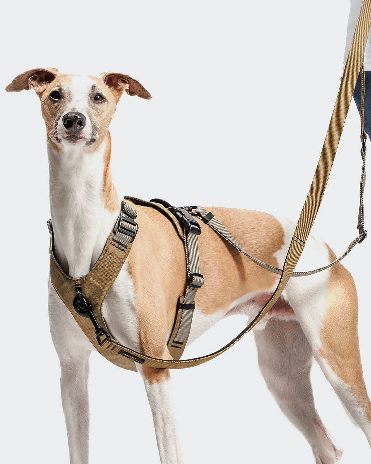 CLOUD7 Y-2 Harness ACTIVE Cordura Khaki
