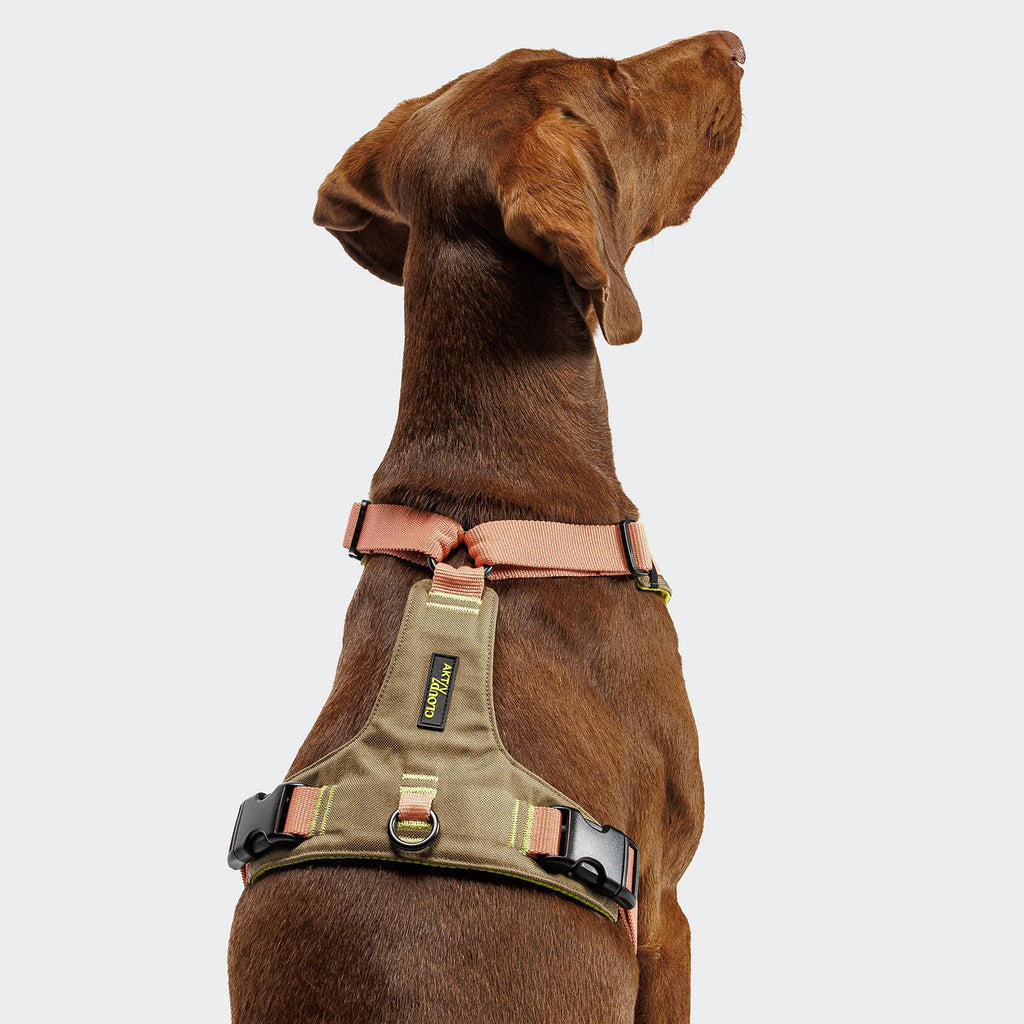 CLOUD7 Y-2 Geschirr AKTIV Cordura Peach