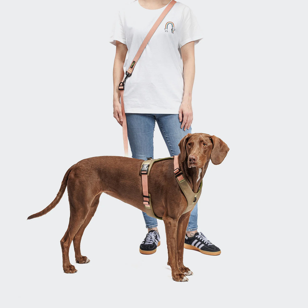 CLOUD7 Y-2 Geschirr AKTIV Cordura Peach