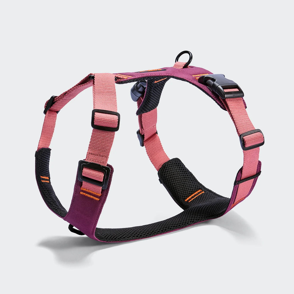 CLOUD7 Y-2 Geschirr AKTIV Softshell Aubergine/Soft Rose