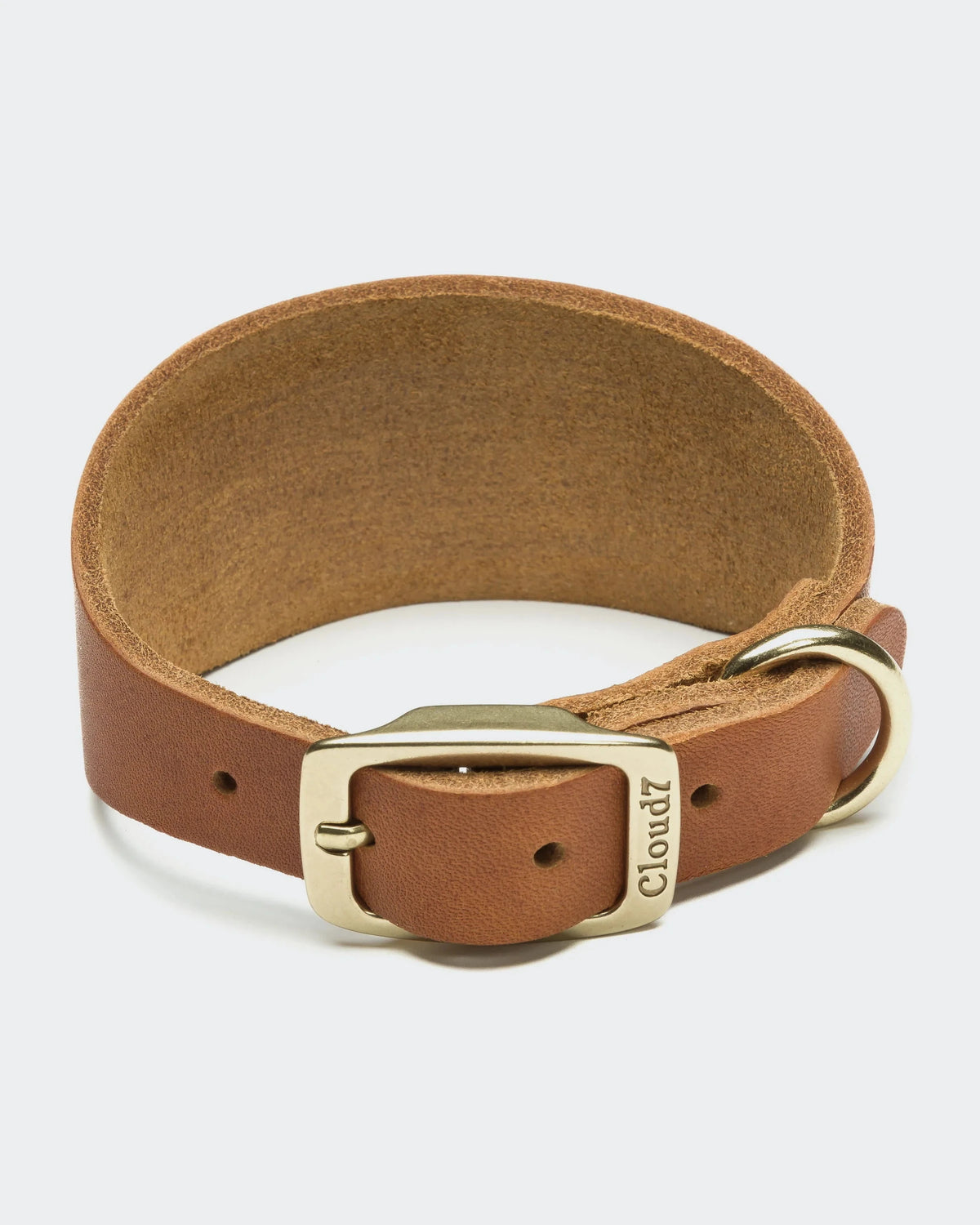 CLOUD7 Dog Collar Regent Park GREYHOUND Camel