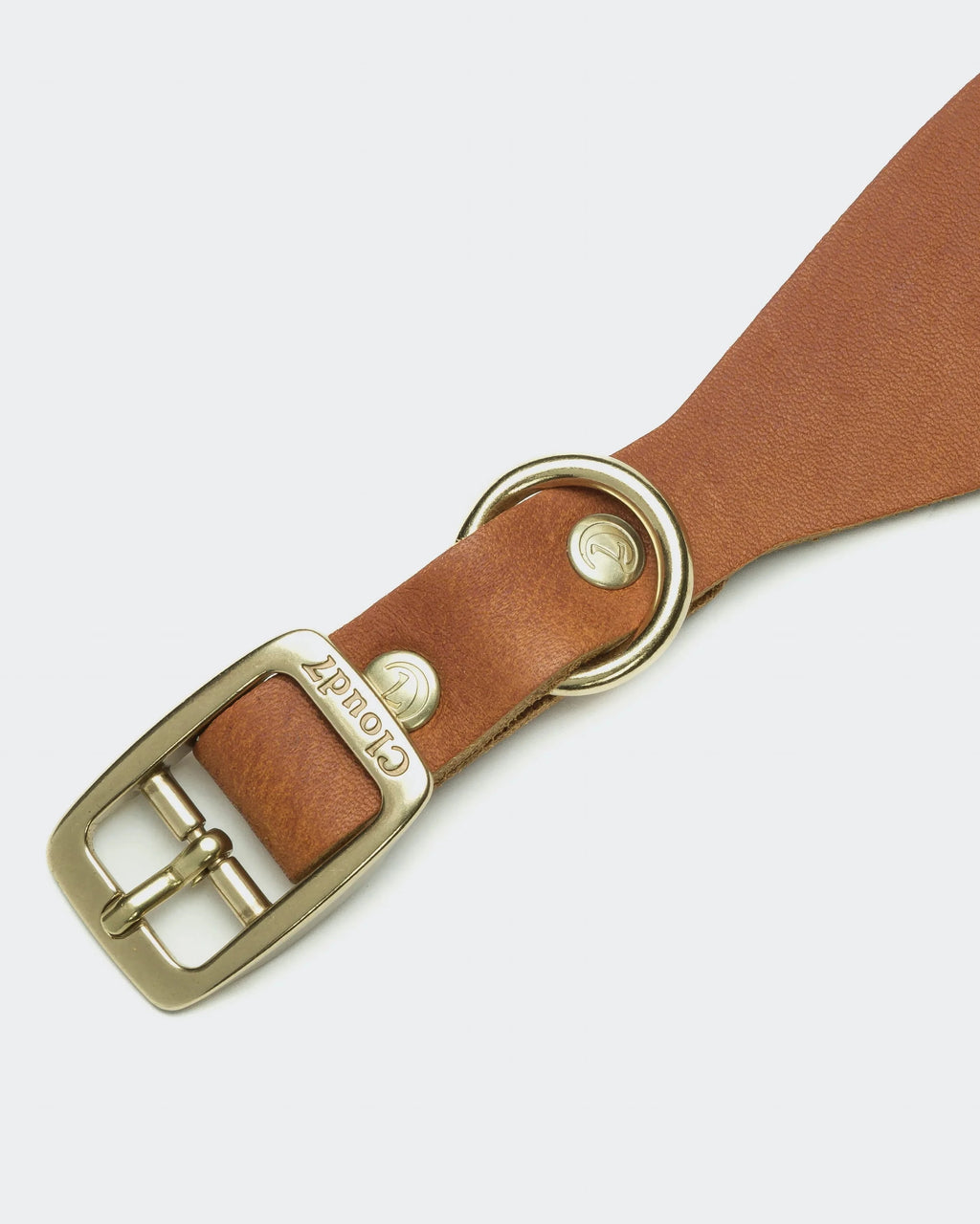 CLOUD7 Dog Collar Regent Park GREYHOUND Camel