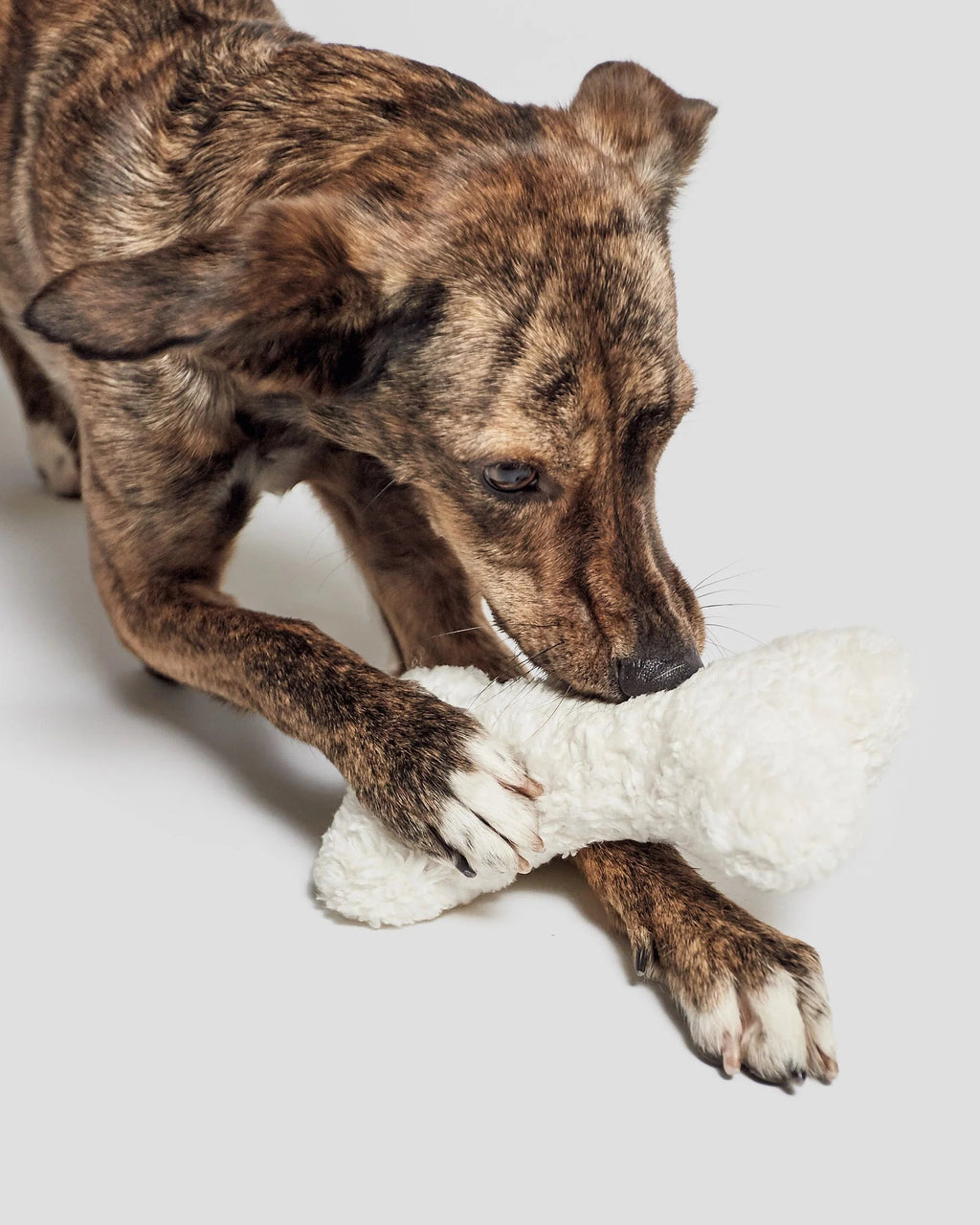 CLOUD7 Toy Love Bone White Plush