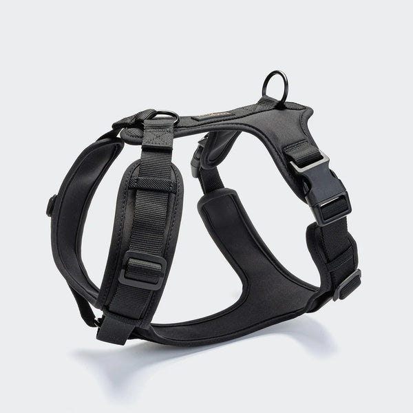 CLOUD7 Y-3 Geschirr AKTIV Softshell Black