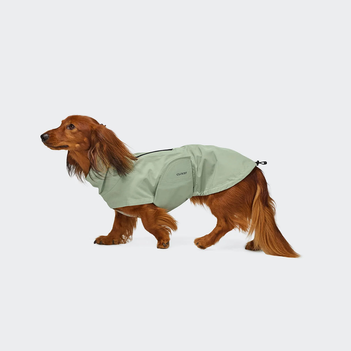 CLOUD7 Hunderegenmantel Dublin 2.0 DACKEL Dusty Mint