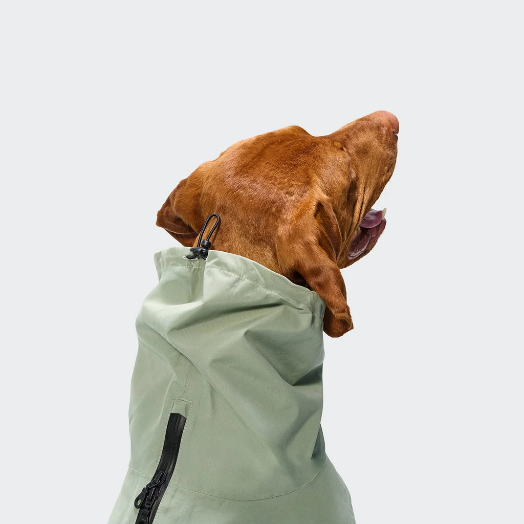 CLOUD7 Hunderegenmantel Dublin 2.0 Dusty Mint