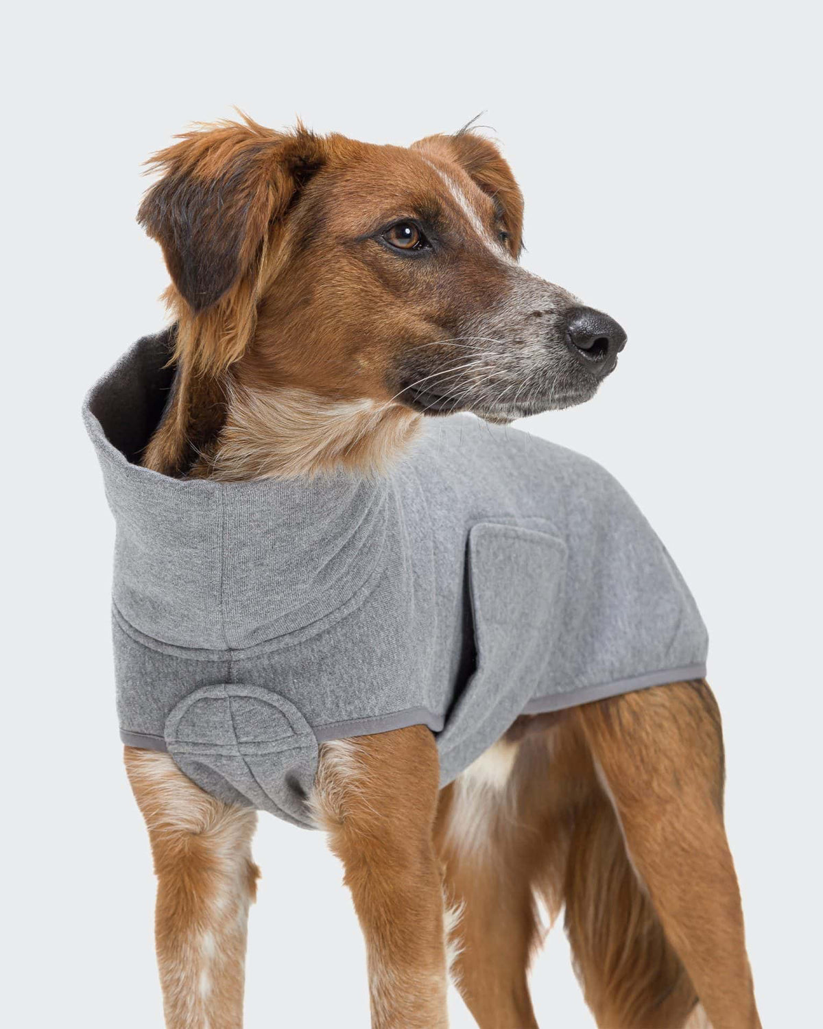 CLOUD7 Hundeshirt Dorset Grey Melange Gr. 2