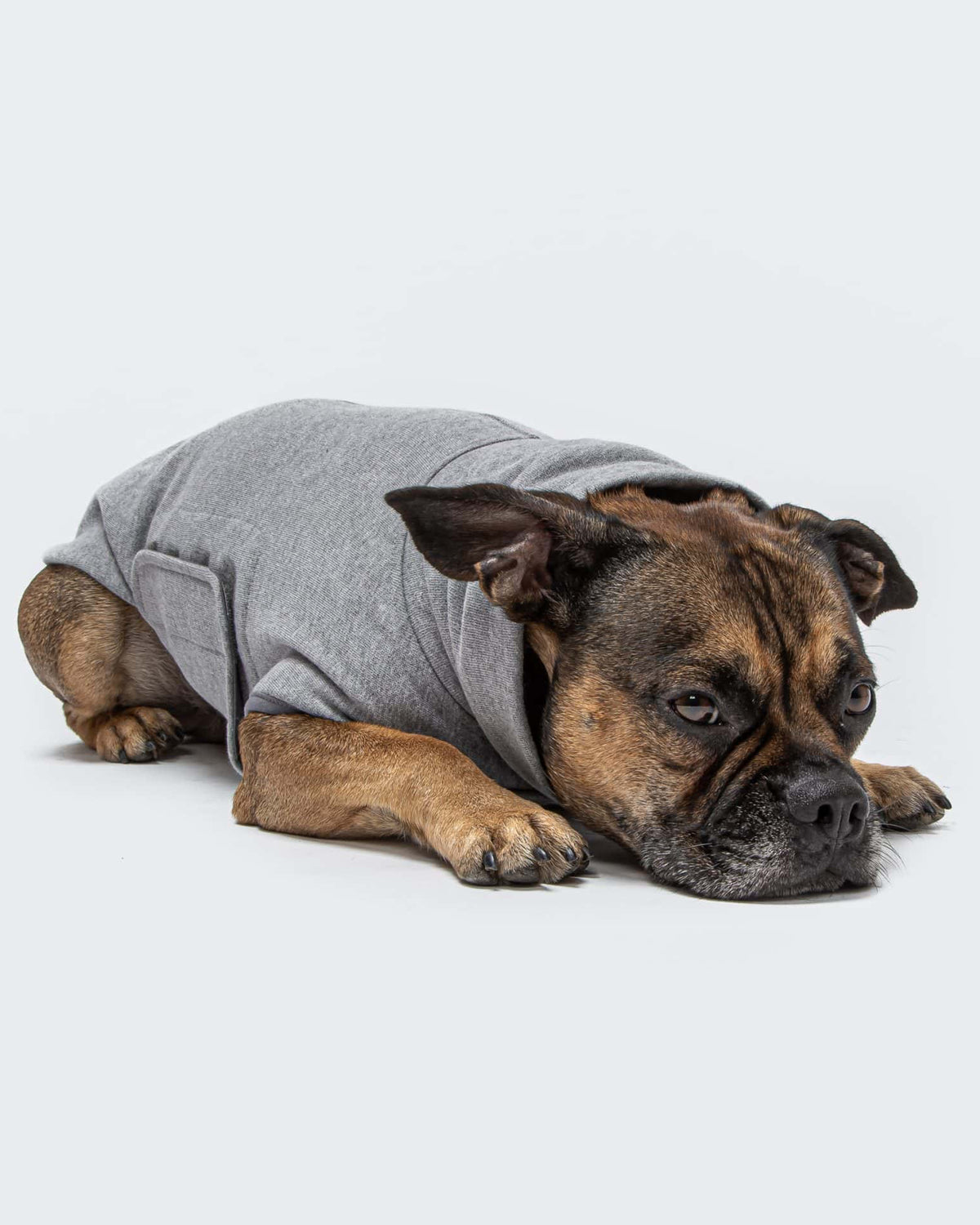 CLOUD7 Hundeshirt Dorset Grey Melange Gr. 2