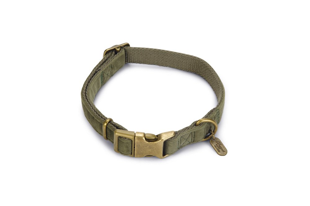 Designed by Lotte Hundehalsband Velura
