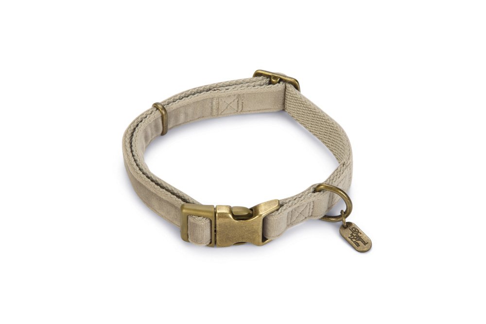 Designed by Lotte Hundehalsband Velura