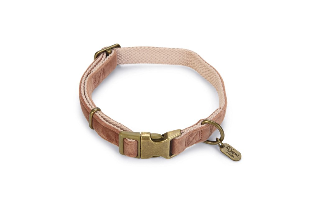 Designed by Lotte Hundehalsband Velura