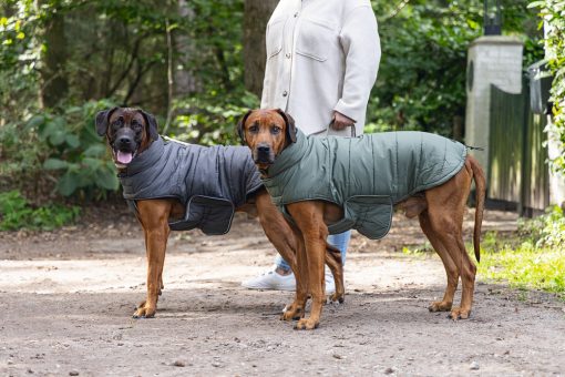 Designed by Lotte Hundemantel Zhanti Grau